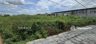 ขาย - ที่ดินเปล่าถมแล้วข้างดูโฮมลำลูกกาคลอง7 บึงคำพร้อย 53-1-97.8ไร่ ขายไร่ละ8 ล้านบาท, ปทุมธานี