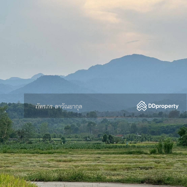 For Sale - Beautiful Mountain View Land for Sale in Fang, Chiang Mai, Chiang Mai
