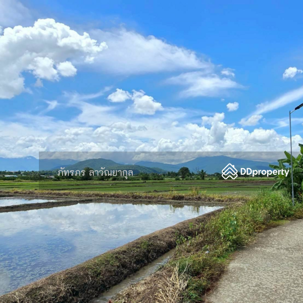 For Sale - Beautiful Mountain View Land for Sale in Fang, Chiang Mai, Chiang Mai