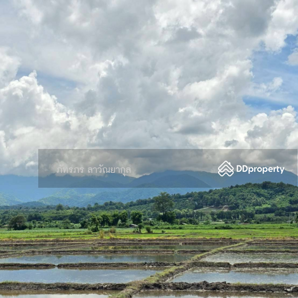 For Sale - Beautiful Mountain View Land for Sale in Fang, Chiang Mai, Chiang Mai