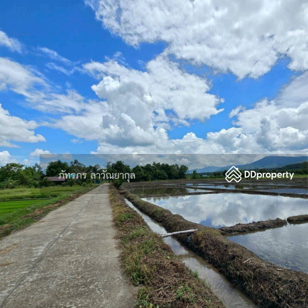 For Sale - Beautiful Mountain View Land for Sale in Fang, Chiang Mai, Chiang Mai