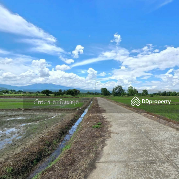 For Sale - Beautiful Mountain View Land for Sale in Fang, Chiang Mai, Chiang Mai