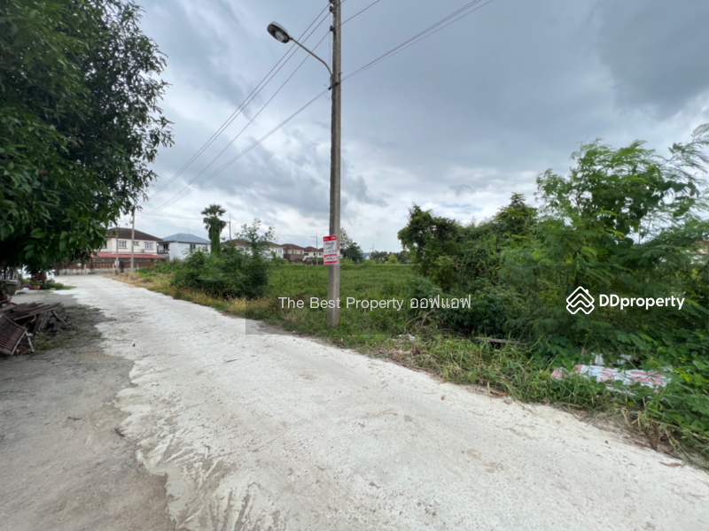 ขาย - ที่ดินสามพราน นครปฐม, นครปฐม