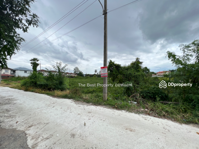 ขาย - ที่ดินสามพราน นครปฐม, นครปฐม