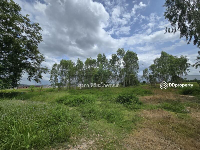 For Sale - https://maps.app.goo.gl/NEeELQ8Lh3qXsx669, Lamphun
