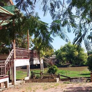 ขาย - แม่น้ำน้อย ต.เสนา อ.เสนา จ.พระนครศรีอยุธยา 13110, พระนครศรีอยุธยา