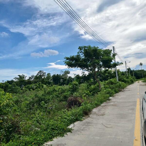 For Sale - พัทยาฝั่งเขา - ห้วยใหญ่ ตำบลห้วยใหญ่ อำเภอบางละมุง จังหวัดชลบุรี, Chon Buri (Pattaya)