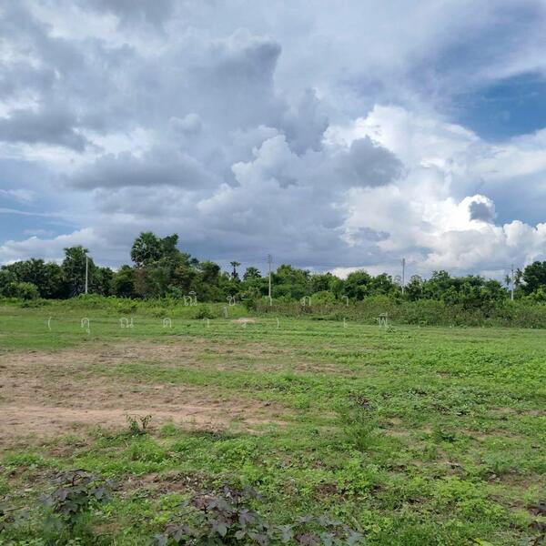 For Sale - พัทยาฝั่งเขา - ห้วยใหญ่ ตำบลห้วยใหญ่ อำเภอบางละมุง จังหวัดชลบุรี, Chon Buri (Pattaya)