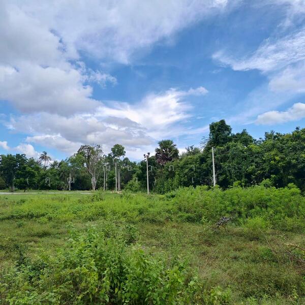 For Sale - พัทยาฝั่งเขา - ห้วยใหญ่ ตำบลห้วยใหญ่ อำเภอบางละมุง จังหวัดชลบุรี, Chon Buri (Pattaya)