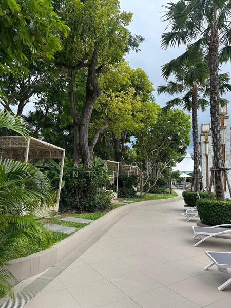 Copacabana Beach Jomtien : โคปาคาบาน่า บีช จอมเทียน, ชลบุรี, ตำบลหนองปรือ อำเภอบางละมุง ชลบุรี, หนองปรือ, บางละมุง, ชลบุรี, 29 ตร.ม., คอนโด ขาย, โดย Nanaporn Tantidechamongkon, 60079099 - DDproperty.com