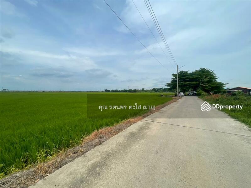ขาย - ที่ดินเปล่า 46 ไร่ 159 ตร.ว. ที่ดินเปล่า ใกล้วัดสแก ถนนสายเอเซีย พระนครศรีอยุธยา พระนครศรีอยุธยา, พระนครศรีอยุธยา