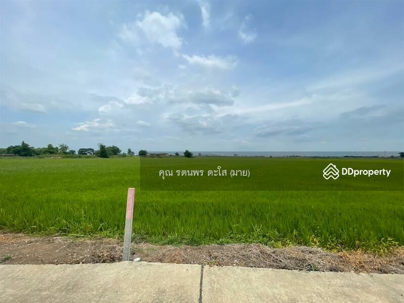 ขาย - ที่ดินเปล่า 46 ไร่ 159 ตร.ว. ที่ดินเปล่า ใกล้วัดสแก ถนนสายเอเซีย พระนครศรีอยุธยา พระนครศรีอยุธยา, พระนครศรีอยุธยา