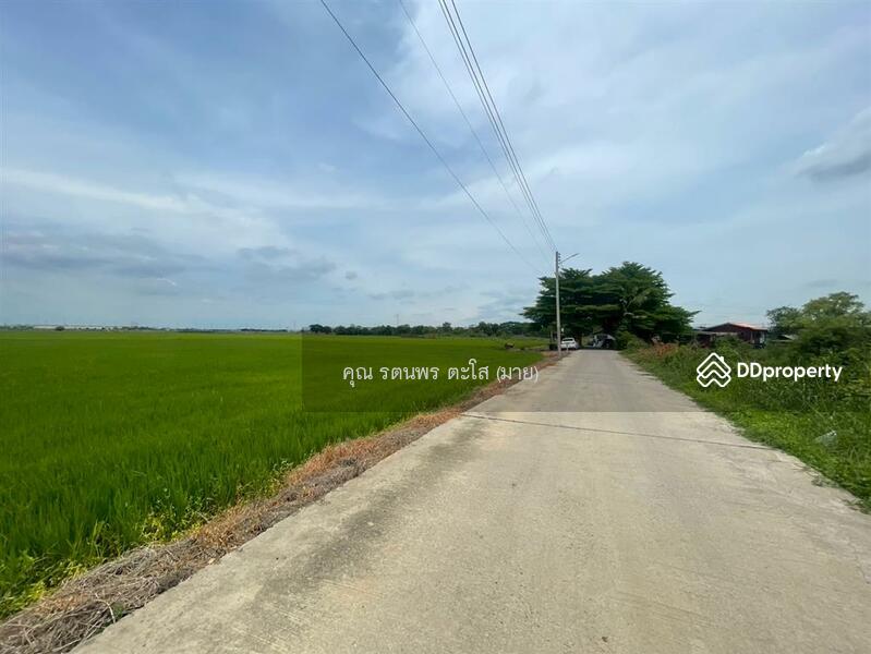 ขาย - ที่ดินเปล่า 46 ไร่ 159 ตร.ว. ที่ดินเปล่า ใกล้วัดสแก ถนนสายเอเซีย พระนครศรีอยุธยา พระนครศรีอยุธยา, พระนครศรีอยุธยา