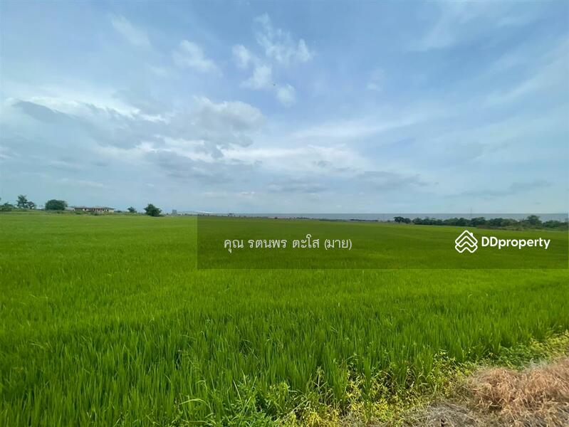 ขาย - ที่ดินเปล่า 46 ไร่ 159 ตร.ว. ที่ดินเปล่า ใกล้วัดสแก ถนนสายเอเซีย พระนครศรีอยุธยา พระนครศรีอยุธยา, พระนครศรีอยุธยา