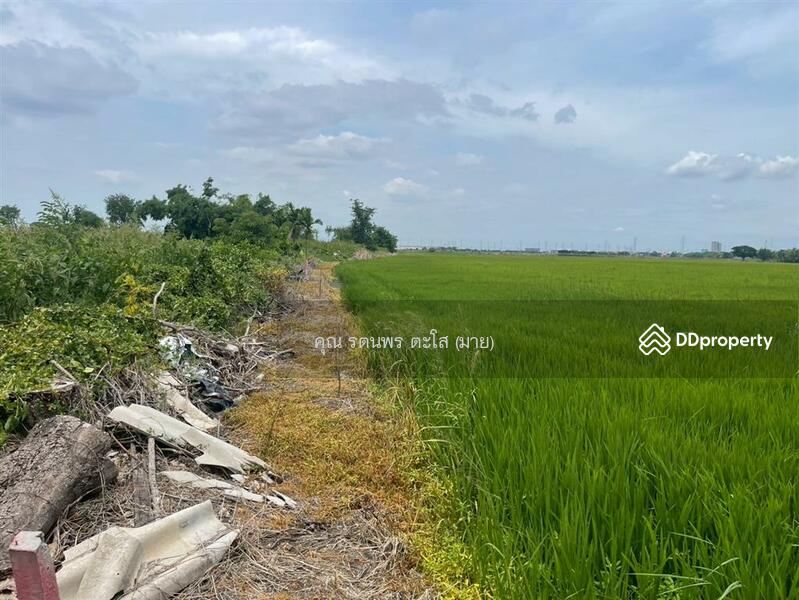ขาย - ที่ดินเปล่า 46 ไร่ 159 ตร.ว. ที่ดินเปล่า ใกล้วัดสแก ถนนสายเอเซีย พระนครศรีอยุธยา พระนครศรีอยุธยา, พระนครศรีอยุธยา