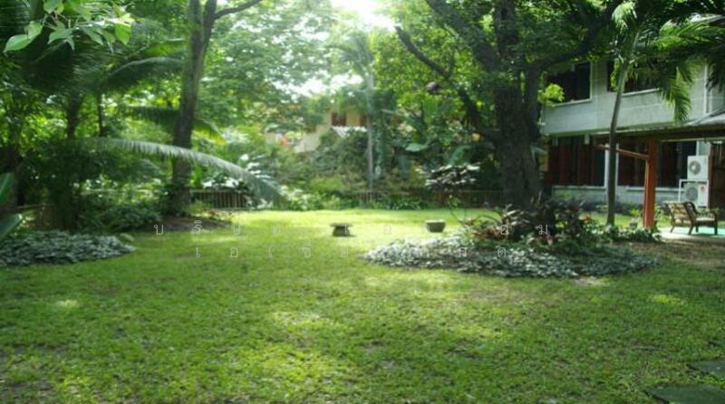 ให้เช่า - 3 Bedrooms House for Rent in Ploenchit, Bangkok near BTS Chitlom (99145), กรุงเทพ