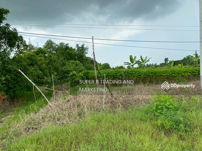 ขาย - ขาย ที่ดินติดถนน 4 เลน 13 ไร่ 1 งาน 31.6 ตร.ว. บ้านสร้าง ปราจีนบุรี, ปราจีนบุรี