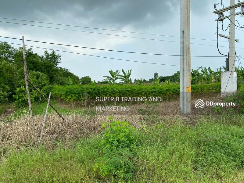 ขาย - ขาย ที่ดินติดถนน 4 เลน 13 ไร่ 1 งาน 31.6 ตร.ว. บ้านสร้าง ปราจีนบุรี, ปราจีนบุรี
