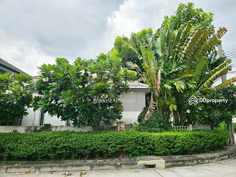 For Sale - Areeya Metro Kaset-Nawamin, Bangkok