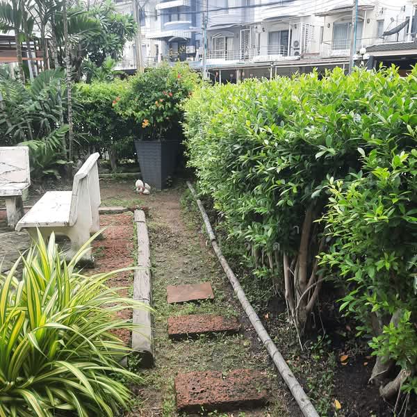 ถ.รัชดาชอย32 ให้เช่าทาวน์โฮม3ชั้น 47ตร.ว 3 นอน 3 น้ำ 4แอร์ เฟอร์เครบ ตู้เย็น ครัวบิ๊วอิน, กรุงเทพ, จันทรเกษม, จตุจักร, กรุงเทพ, 470 ตร.ม., ทาวน์เฮ้าส์ ให้เช่า, โดย คุณทัณฑิกา แก้วปู่วัด, 60080804 - DDproperty.com