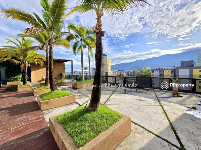 For Rent - TRAMS Condominium, Chiang Mai