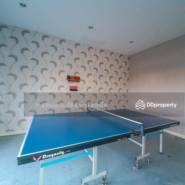 ให้เช่า - TRAMS Condominium : ทรัมส์ คอนโดมิเนียม, เชียงใหม่