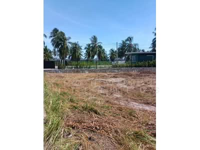 ขาย - ขายที่ดินโป่ง พัทยาเนื้อที่ 2 ไร่ ใกล้ถนนกระทิงลาย-ปลวกเกตุ-800เมตร อ.บางละมุง, ชลบุรี
