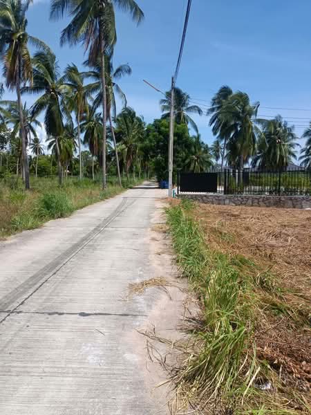 ขายที่ดินโป่ง พัทยาเนื้อที่ 2 ไร่ ใกล้ถนนกระทิงลาย-ปลวกเกตุ-800เมตร อ.บางละมุง, ชลบุรี, โป่ง, บางละมุง, ชลบุรี, 3,200 ตร.ม., ที่ดิน ขาย, โดย RICHWELL INTERPLUS, 60080977 - DDproperty.com