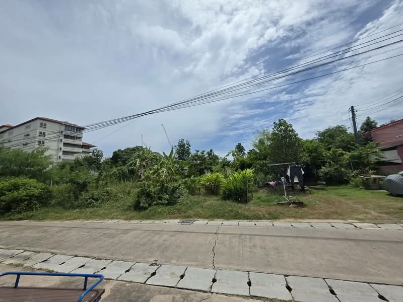 ขายที่ดินทำเลดี ใจกลางจุดท่องเที่ยว พัทยา–นาจอมเทียน ห่างทะเลเพียง 300 เมตร, Chon Buri (Pattaya), ถนนสุขุมวิท, Na Chom Thian, Sattahip, Chon Buri (Pattaya), , 272 sqm, Land For Sale, by คุณรินดา, 60081280 - DDproperty.com