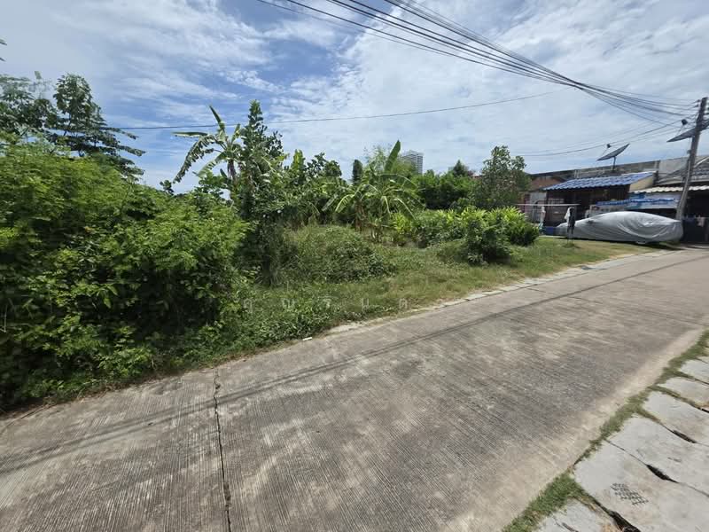 ขายที่ดินทำเลดี ใจกลางจุดท่องเที่ยว พัทยา–นาจอมเทียน ห่างทะเลเพียง 300 เมตร, ชลบุรี, ถนนสุขุมวิท, นาจอมเทียน, สัตหีบ, ชลบุรี, 272 ตร.ม., ที่ดิน ขาย, โดย คุณรินดา, 60081280 - DDproperty.com