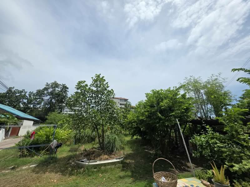 ขายที่ดินทำเลดี ใจกลางจุดท่องเที่ยว พัทยา–นาจอมเทียน ห่างทะเลเพียง 300 เมตร, ชลบุรี, ถนนสุขุมวิท, นาจอมเทียน, สัตหีบ, ชลบุรี, 272 ตร.ม., ที่ดิน ขาย, โดย คุณรินดา, 60081280 - DDproperty.com