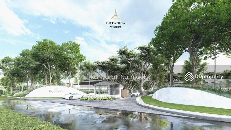 ขาย - Botanica Wisdom : โบทานิก้า วิสด้อม, ภูเก็ต