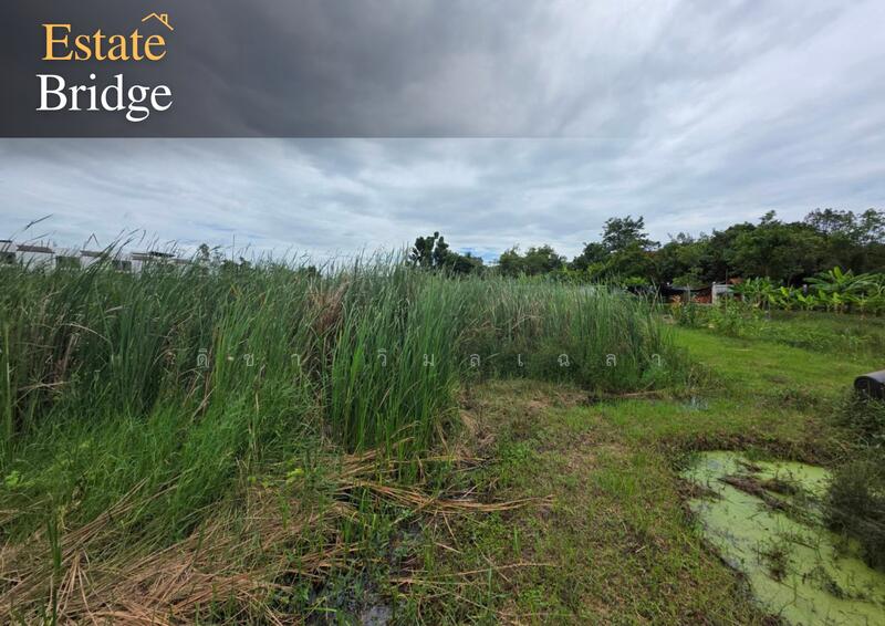 For Sale - Beautiful plot of vacant land for sale, Bang Toei, Sam Phran, Nakhon Pathom, Nakhon Pathom