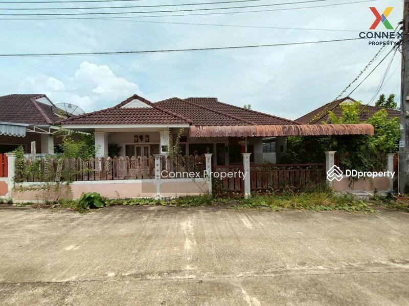 ขาย - ปาล์มทอง ตรัง Palm Thong Trang, ตรัง