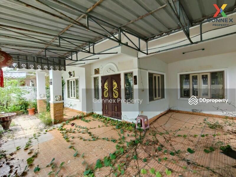 ขาย - ปาล์มทอง ตรัง Palm Thong Trang, ตรัง