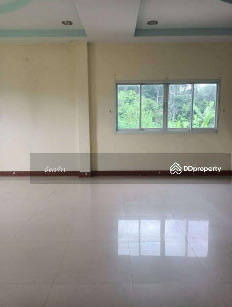 ขาย - ที่ดินพร้อมสิ่งปลูกสร้าง ถ.กาญจนวนิช-บ้านไร่ตก ต.สำนักขาม อ.สะเดา จ.สงขลา, สงขลา