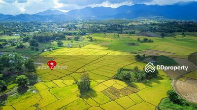 ขาย - ขายที่ดิน ในโครงการชีวิตติดนา เฟส 2 ขนาด 73.9 ตร.ว. ใกล้ ถนนห้วยทราย-ใหม่, แม่ฮ่องสอน