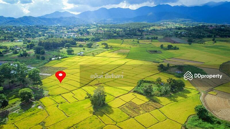 For Sale - Sell land in Chiwit Tid Na Project Phase 2, size 73.9 sq.w., near Huai Sai-Mai Road, Mae Hong Son