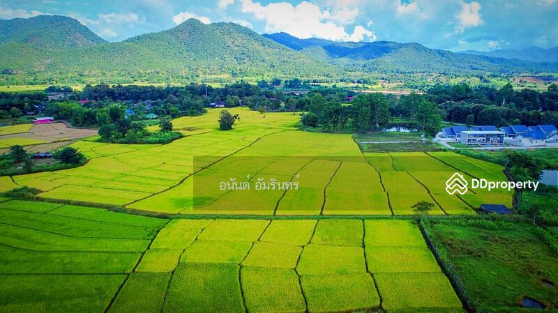 For Sale - Sell land in Chiwit Tid Na Project Phase 2, size 73.9 sq.w., near Huai Sai-Mai Road, Mae Hong Son