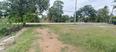 ขาย - ที่ดินสวนมะพร้าวน้ำหอม คลอง 9 หนองเสือ ต.บึงบา อ.หนองเสือ ปทุมธานี 12170, ปทุมธานี