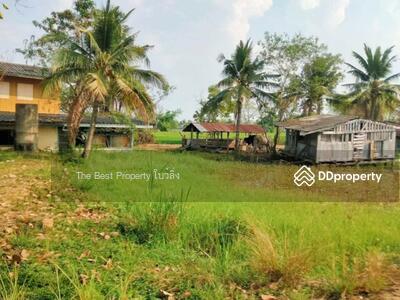 ขาย - ที่ดินเสลภูมิ ร้อยเอ็ด, ร้อยเอ็ด