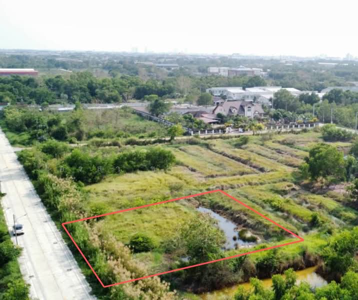 ที่ดิน 1 ไร่ ซอยไอยรา 34 – คลองสอง คลองหลวง ปทุมธานี, Pathum Thani, Khlong Song, Khlong Luang, Pathum Thani, , 1,600 sqm, Land For Sale, by อรสา ขจรกิตติยา, 60082828 - DDproperty.com