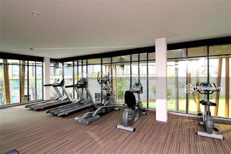 For Sale - Dcondo Creek Phuket, Phuket