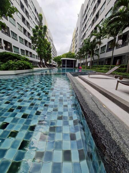 Elio Sukhumvit 64 : เอลลิโอ สุขุมวิท 64, Bangkok, 99 ซอยสุขุมวิท 64, Bang Chak, Phra Khanong, Bangkok, 1 Bedroom, 30 sqm, Condo For Sale, by โดม, 60083102 - DDproperty.com