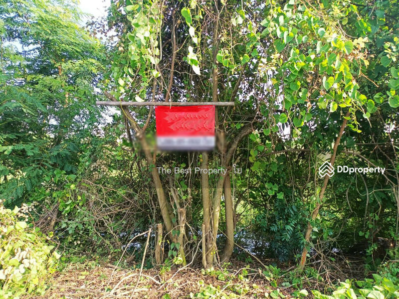 ขาย - ที่ดินลำลูกกา ปทุมธานี, ปทุมธานี