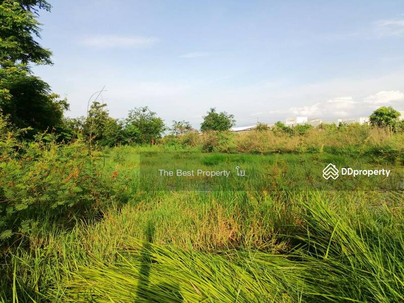 ขาย - ที่ดินลำลูกกา ปทุมธานี, ปทุมธานี