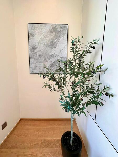 28 Chidlom, Bangkok, 28 Chit Lom Alley, Lumphini, Pathum Wan, Bangkok, 2 Bedrooms, 74 sqm, Condo For Rent, by LINE @firststep, 60083708 - DDproperty.com