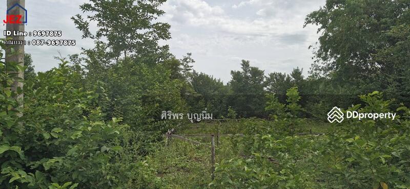 ขาย - ขายที่ดินเปล่าถมแล้ว เนื้อที่ 100 ตารางวา หลังวัดหินกอง อ.เมือง จ.ราชบุรี, ราชบุรี