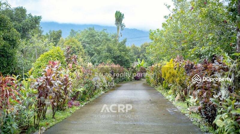 For Sale - For sale: Land with garden house, area 5-0-69 rai, Khao Khitchakut District, Chanthaburi