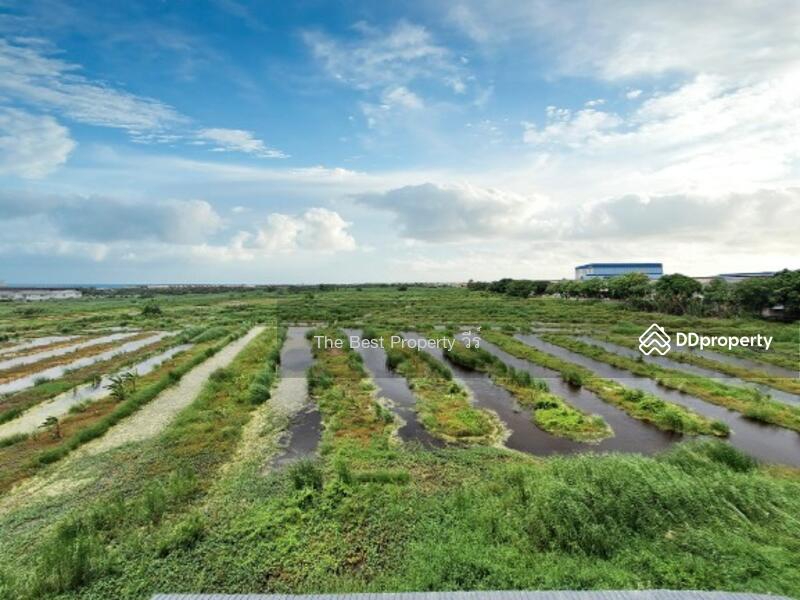 For Sale - The Green Ekachai, Samut Sakhon